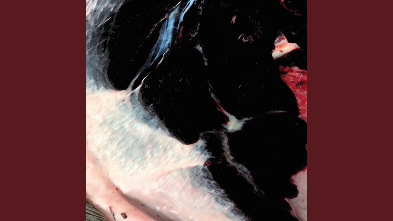 YouTube에서 Undulating Thoughts 보기 YouTube에서 Undulating Thoughts 보기