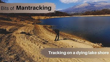 BITS OF MANTRACKING: HOW DROUGHT AFFECTS TRACKS