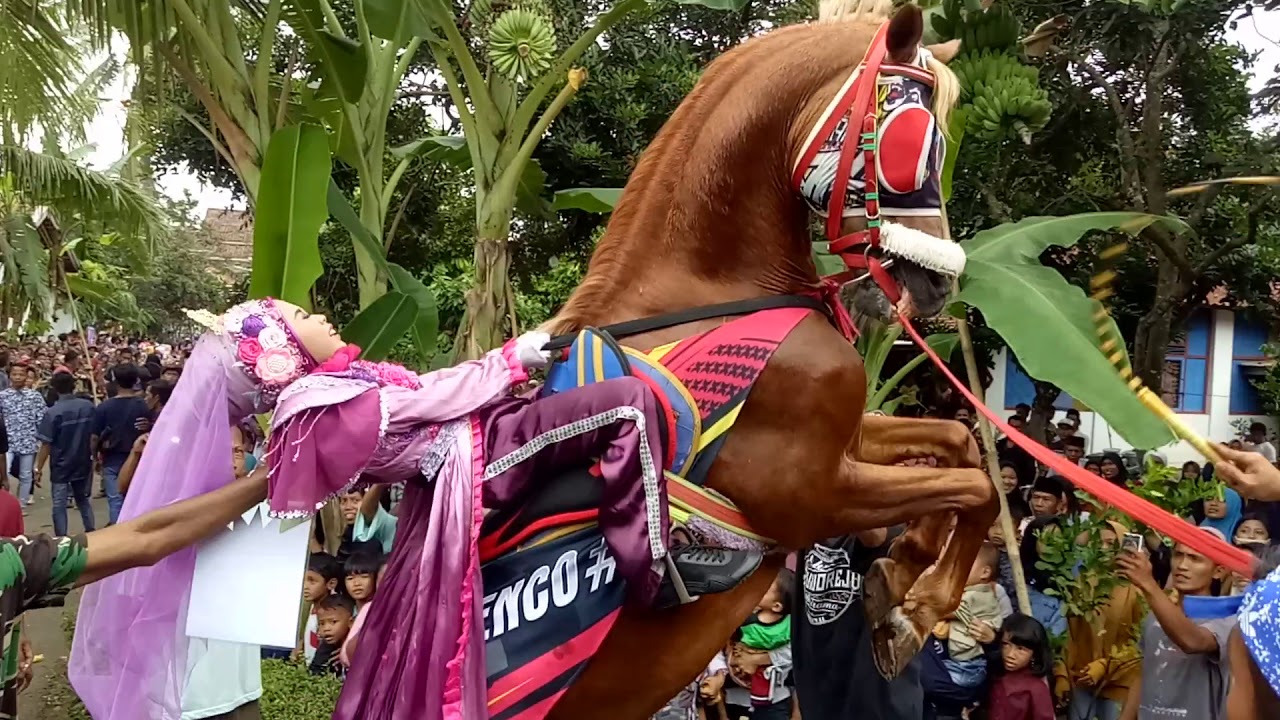 Karnaval Peringatan Maulid Nabi Muhammad SAW Desa Rebug, kec.Kemiri Kab. PURWOREJO terbaru