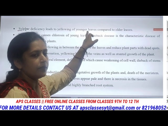 •MINERAL NUTRITION. || •CLASS- 11th|| •CHAPTER- 12 || •PART- 2 || •BIOLOGY.