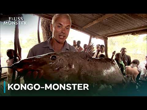 Jeremy Wade jagt die Bestien des Kongo | Fluss Monster