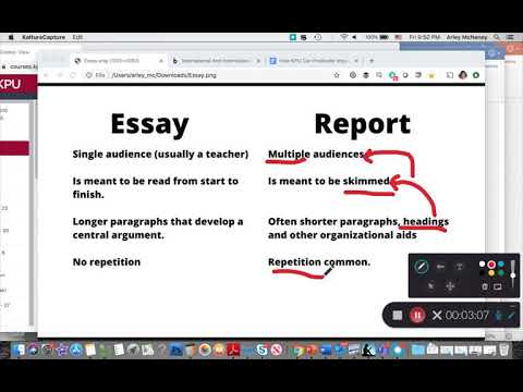 academic essay vs report