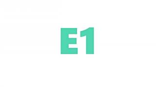 E1 Floor Plan - Designer Finish (photos only)