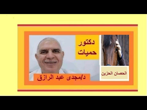 أحذر فيروس الحصان الحزين | beware the sad horse virus