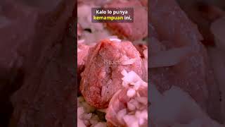 5 FAKTA GILA LINTAH: 32 OTAK, BISA MAKAN 5x BERAT BADAN! 🩸
