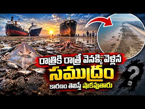 రాత్రికి రాత్రే వెనక్కి వెళ్లిన సముద్రం.. కారణం తెలిస్తే షాకవుతారు | ARGENTINA SEA INCIDENT Latest