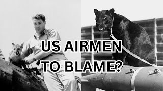 Are US Fighter Pilots to Blame for Australias Big Cat Sightings?
I read the entirety of all books before making this (Or in the case of Shuker 2020, the chapter on Australasia), so pages referenced are ones reread for this video, so I apologize if the pages don’t represent every part of the books referenced in this video.
Books:
Australian Big Cats: An Unnatural History of Panthers - Michael Williams & Rebecca Lang (2010) (Pages, 35-37, 117-119, 121-126)
Mystery Cats of the World Revisited - Karl Shuker (2020) (Pages, 301-304)
Savage Shadow: the Search for the Australian Cougar - David O’Reilly (Originally published in 1981, but the 2011 reprint is the one I have)
Online sources:
https://karlshuker.blogspot.com/2015/06/marsupial-sabre-tooths-queensland.html
https://karlshuker.blogspot.com/2012/08/the-truth-about-black-pumas-separating.html
Images used:
https://commons.wikimedia.org/wiki/File:Big_Cats_in_Sussex.jpg
https://commons.wikimedia.org/wiki/File:EB1911_Australia_Map_joined.jpg
https://www.vintag.es/2014/04/color-photos-of-animals-in-world-war-ii.html
https://www.flickr.com/photos/47847725@N04/4530714641/
https://commons.wikimedia.org/wiki/File:Black_Panther_Pench.jpg
https://cryptidarchives.fandom.com/wiki/Queensland_tiger?file=Queensland_tiger%2C_William_Rebsamen.jpg#Reconstruction
https://commons.wikimedia.org/wiki/File:8th_Place Mountain_Lion_(7487178290).jpg
https://commons.wikimedia.org/wiki/File:Black_leopard.JPG
https://commons.wikimedia.org/wiki/File:Black_Panther India.jpg
#bigcats #bigcat #blackpanther #blackpanthers #lion #tiger #leopard #jaguar #snowleopard #australianbigcats #australia #australianwildlife #cryptozoology #cryptid #cryptids #ww2 #worldwar2 #worldwartwo #australiancryptids #alienbigcats #mysterycats #mysterycatsoftheworld #australiancats Are US Fighter Pilots to Blame for Australias Big Cat Sightings?