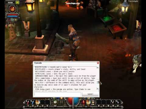 Cheat Console Torchlight