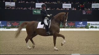Michael Poulin & Thor M win the 2015 Grand Prix Freestyle Championship Open