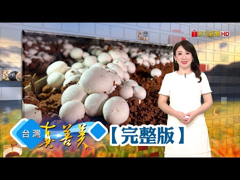 全台首創同心圓冰棒 賣遍觀光景點逆轉人生再生塑料創循環經濟 串上下游一條龍製程賣千萬宅蓋科技菇房 種出巨無霸洋菇三代夫妻創漢方茶磚 百年中藥行突圍重生【台灣真善美】2024.09.29✦全集✦