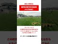【岡田メソッドTR】テーマ:ドリブル 3vs2 Part1 #shorts #サッカー #練習メニュー #岡田メソッド