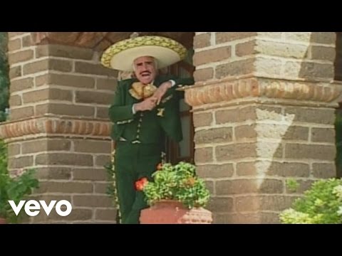 Vicente Fernández - El Ultimo En La Fila (Video)