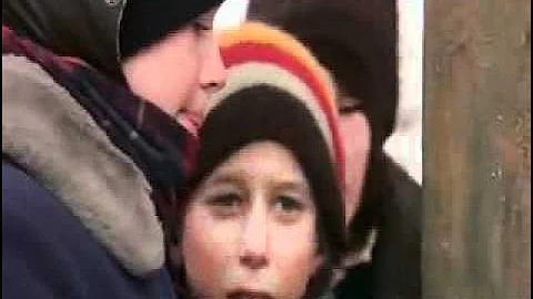 I Triple Dog Dare Ya