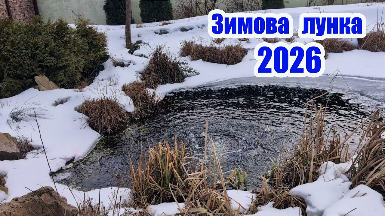 Зимова лунка 2026