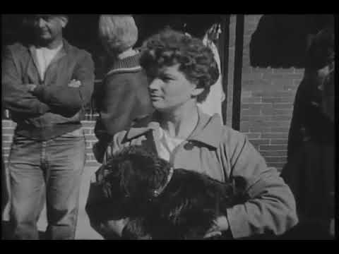 camera iphone 8 plus apk Yorktown High School homecoming parade, 1968-10-13