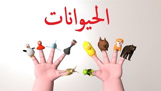 أسماء الحيوانات باللغة العربية للأطفال | Finger Family | [ بث مباشر]