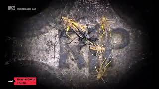 Napalm Death - The Kill (Official Music Video)