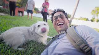What Happens When You Donate | i Film Heroes (The Rescue Cat & Dog FilmMaker)