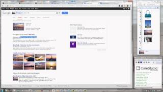 Google Image Recognition - Identifies People, Objects, Structures, Cities and more.