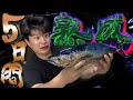 【ゾンビ】5日間塩漬け熟成したマグロを骨まで食べ尽くす!