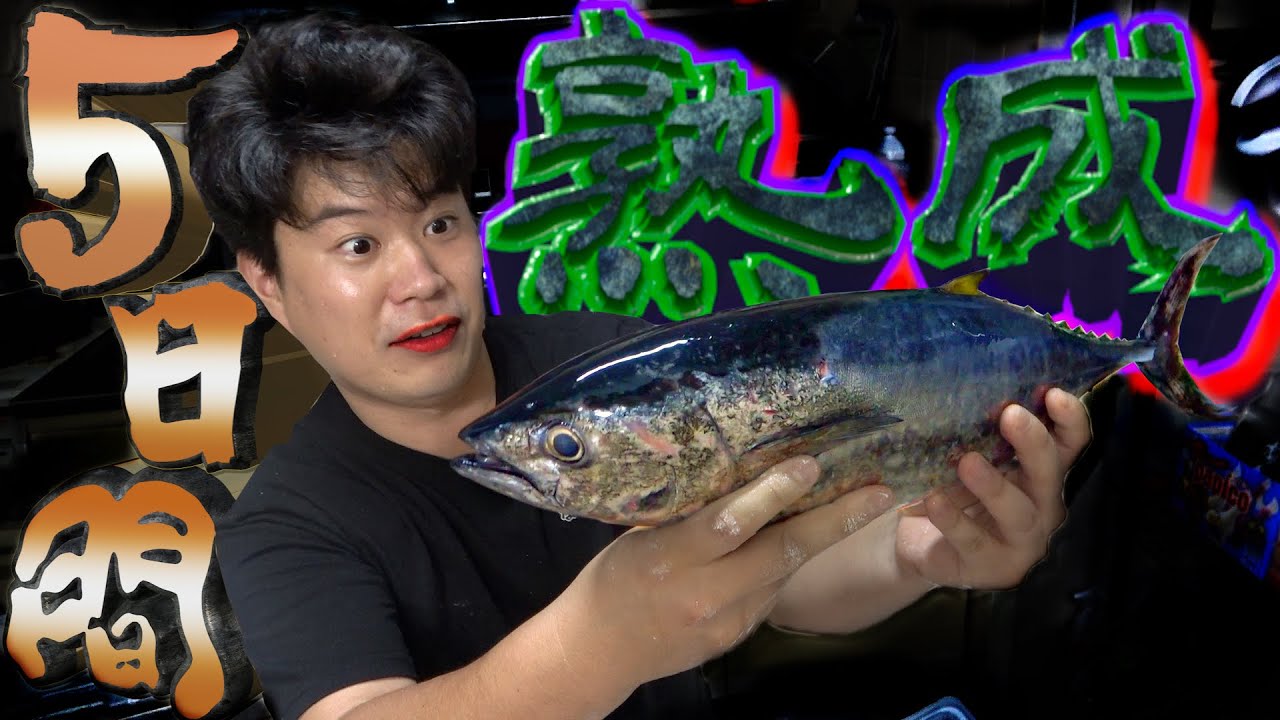 食いしん坊の塩漬け魚 YouTube