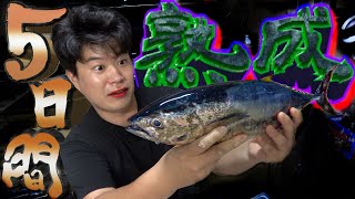 【ゾンビ】5日間塩漬け熟成したマグロを骨まで食べ尽くす!