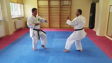Ippon kumite Jodan 4