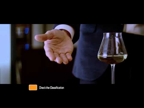 Fifty Shades of Grey The Movie (2015) - Teaser Trailer 2 (Official)