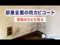 カビ取り・防カビハウスクリーニング【防カビ施工メニュー：部屋全面の防カビコート】 部屋の壁紙（ビニールクロス）の黒カビをカビ取り侍で除去して防カビコート！/カビ除去業者 純閃堂（じゅんせんどう）