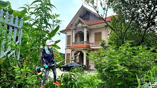 2.5M $ villa cleaning the overgrown grass garden shocking a lot of garbage convert satisfied relax