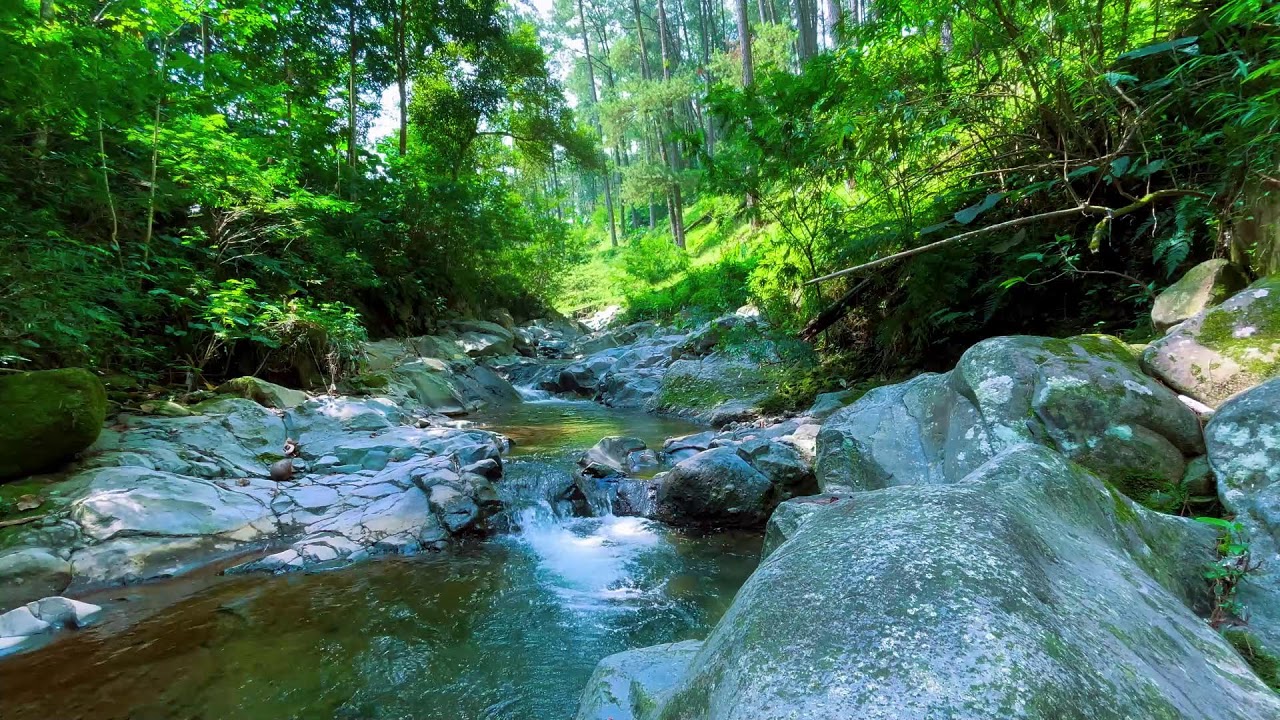 10Hrs of Trickling Water Guaranteed to Help You Sleep, Relax or Study