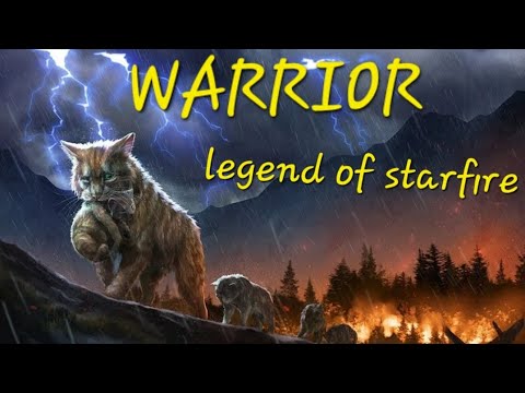 《WARRIOR 》☆the legend of starfire♡