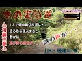 【旧道・隧道】旧国道257号旧・木の実隧道→夜の視聴危険です注意してください⚠️