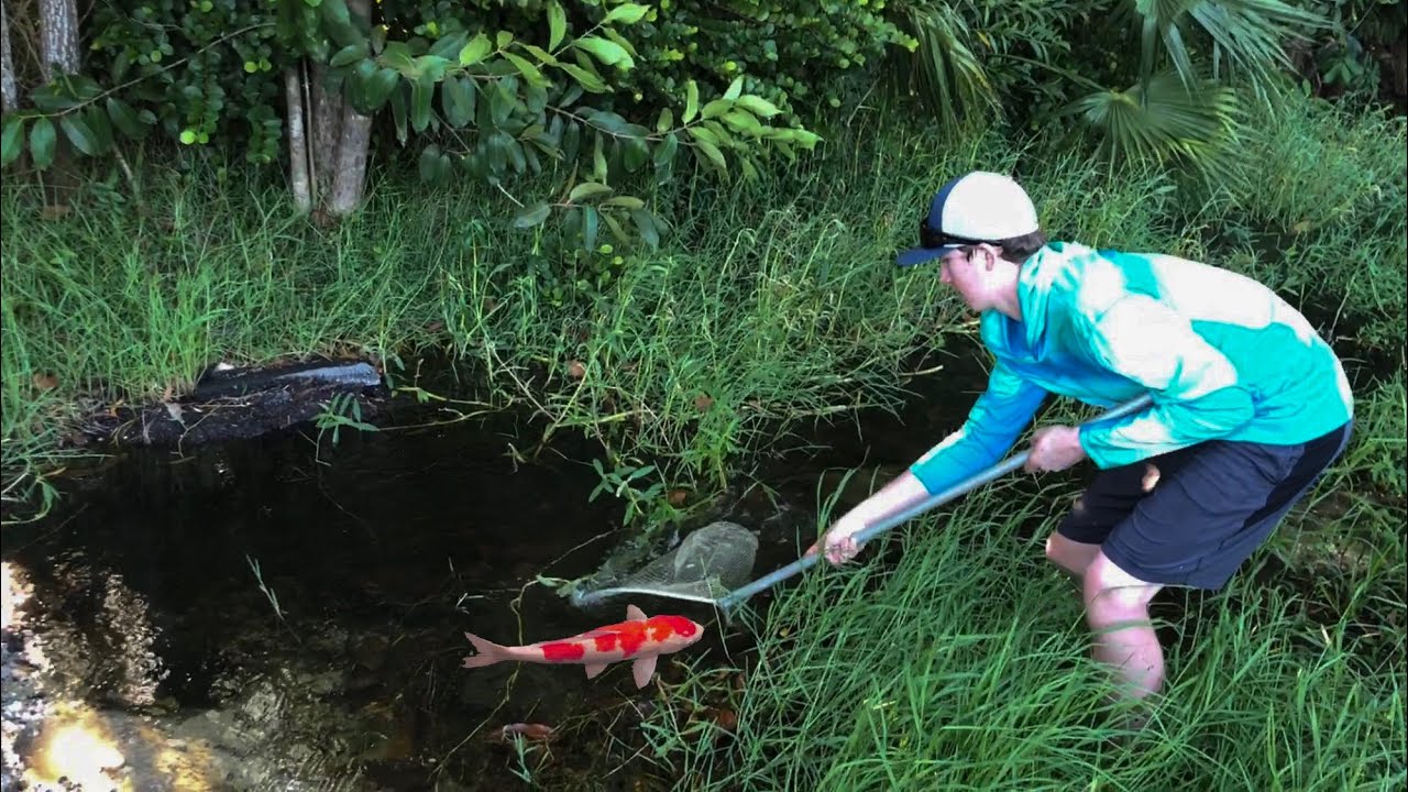 I SAVED Fish from DYING CREEK!!! *Insane*