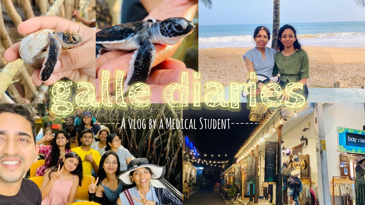 A Trip to Galle 🌊🛺🌞 Miss උන කෝච්චි | කැස්බෑ බිත්තර | දන්නෙ නැති පාරවල් #vlog #minivlog #fyp