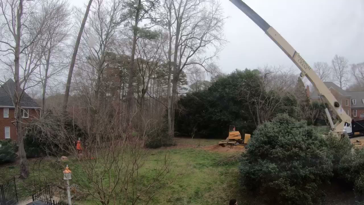 Tree Removal Job In Raleigh Using A Huge Crane - YouTube