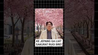 ke Jepang masa ga liat Sakura