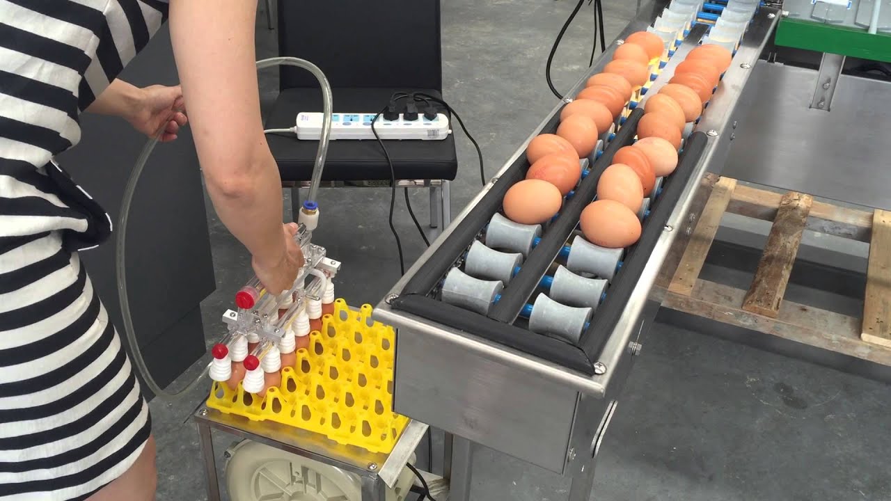 ZENYER 601 Vacuum egg lifter-12 suction cups