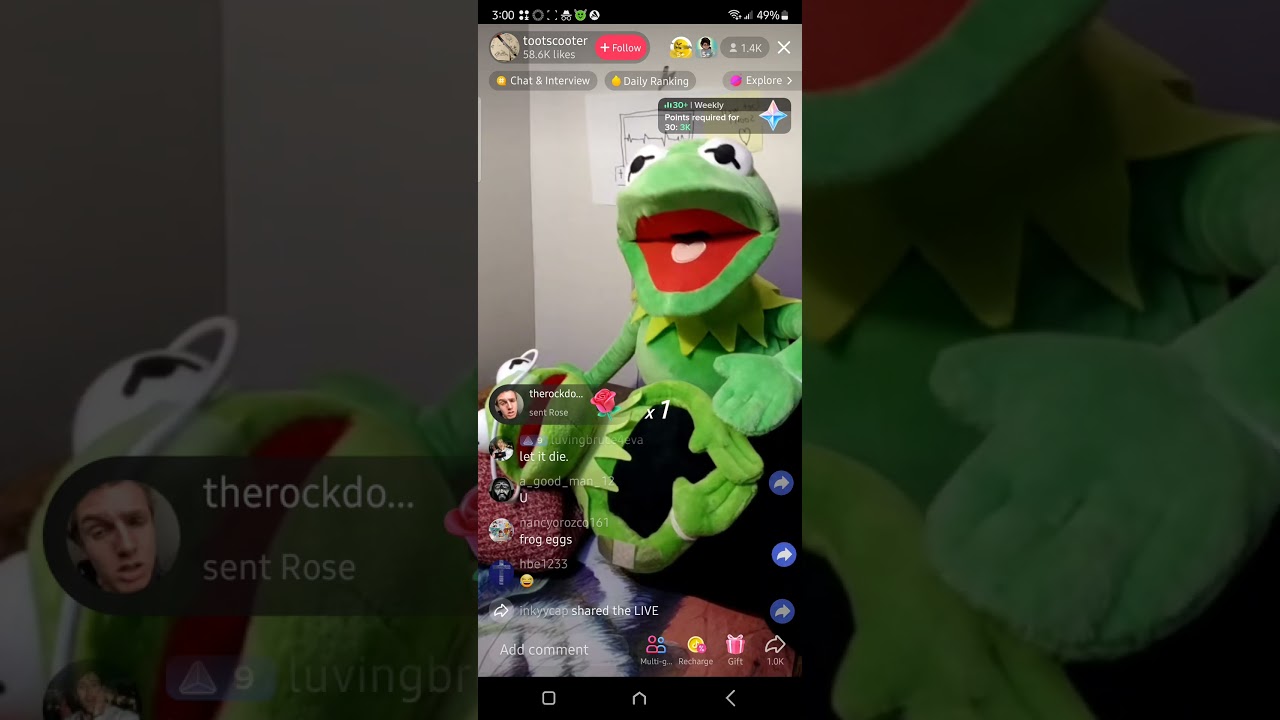 kermit says the n-word  