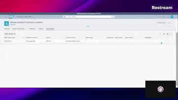 Customer - 360° View in SAP FIORI