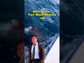The taxman always gets his cut #sharkfishing #tuna #tunafishing #bigfish #oceanfishing #offshorefish