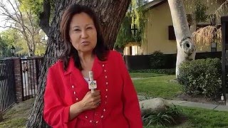 Star Of Mr Ed, Dead.