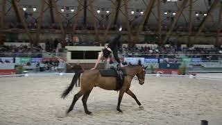 Averill Saunders Freestyle