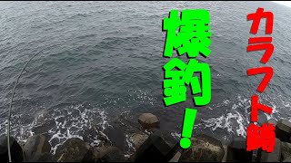 2020-8-18 カラフトマス釣り 朝の時合は爆釣! パラダイス Pink salmon fishing