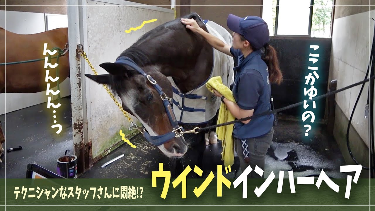 【ウインドインハーヘア】スタッフさんの神マッサージに悶絶！最高の時間がここにある！