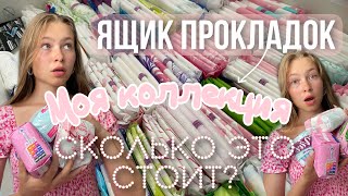 обзор на ХРАНЕНИЕ ПРОКЛАДОК😦/часть 2/какие прокладки можно покупать?/какие цены?/за август