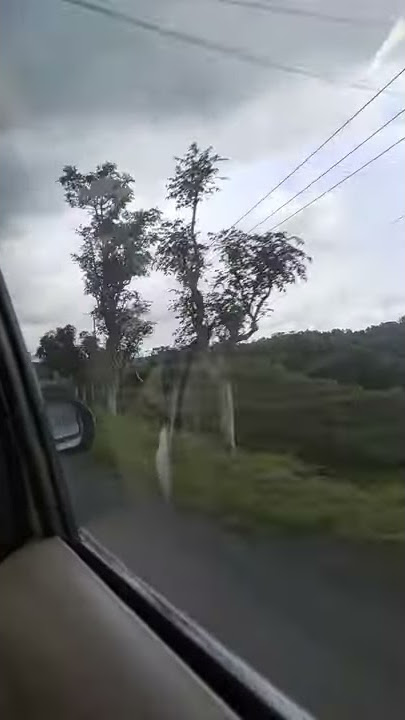 Story wa jalan jalan naik mobil