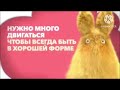(Исправлено) Оформление Aiji тгс