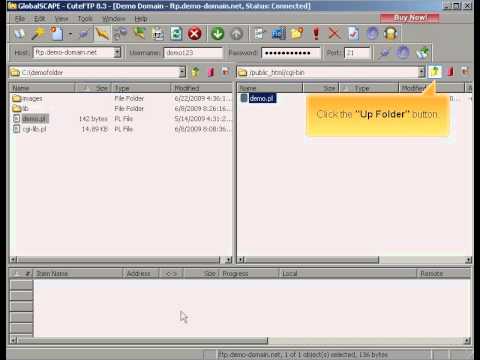 Transferring files via Cute FTP