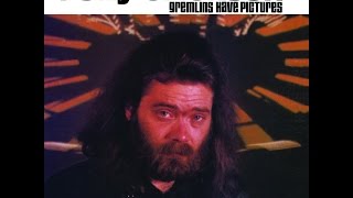 Roky Erickson and The Explosives - Cold Night For Alligators